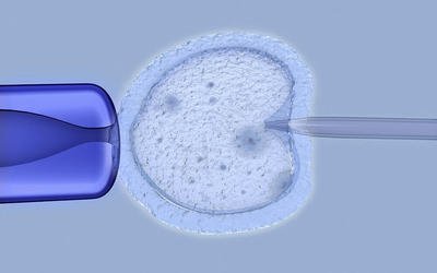 宫腔镜查看的目的是什么能不能试管婴儿辅助生养医治