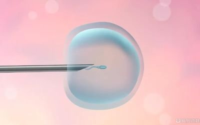 试管婴儿取卵后腹水的原因？如何预防试管婴儿取卵后腹水？