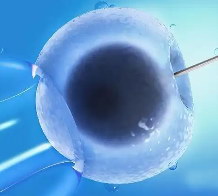 石家庄二代试管婴儿费用明细