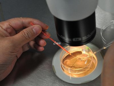 拉拉试管婴儿攻略·丹麦IUI/IVF、流程与费用