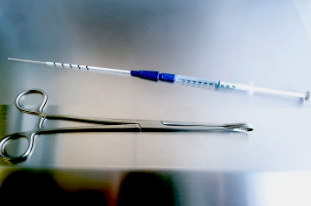 子宫内膜搔刮法真的能有效提高活产率吗？如何科学地改善子宫内膜以利于试管婴儿的成功？