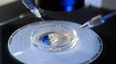 试管婴儿技术中促排卵药物的作用是什么？试管婴儿促排方案的选择如何影响胚胎培养结果？