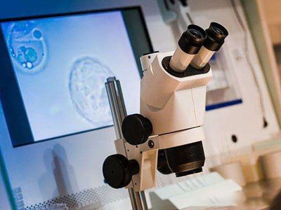 冻胚周期人工周期和自然周期哪个好