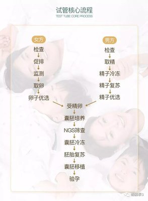 试管婴儿鲜胚、囊胚、冻胚，哪种移植更好