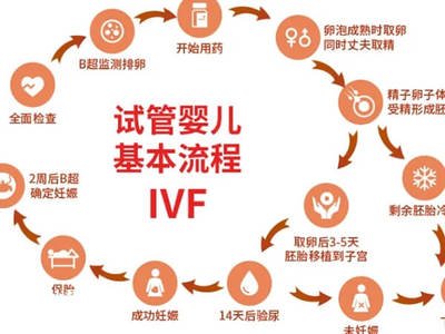 目前暂不想生养，可在试管婴儿核心胚胎冷冻保留吗