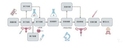 年纪轻轻为什么AMH值那么低,能去试管婴儿吗