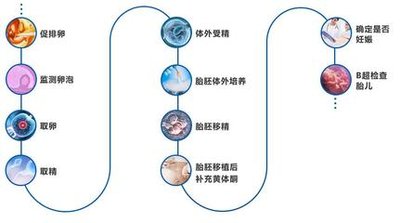 雌激素水平与月经法则有关吗试管婴儿为什么要性激素六项查看