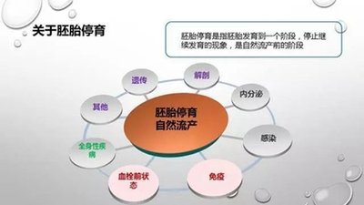 试管婴儿医治期间要不要天天卧床