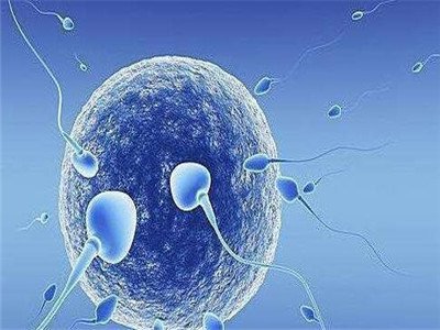 PCOS不孕有什么症状适不适合试管婴儿辅助生养医治