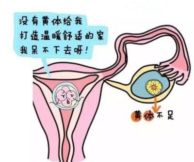 吉尔吉斯斯坦试管助孕费用