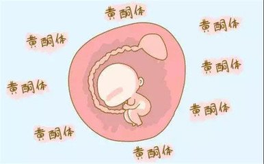 惠州做试管婴儿多少钱