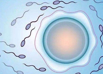 常见的子宫疾病有哪些？对试管助孕有什么影响