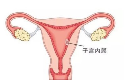 中山试管条件