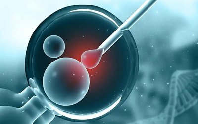 空囊究竟是怎么滋生的？做试管婴儿怀孕还会出现吗