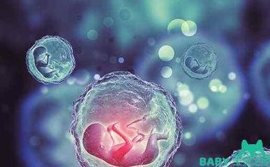 生养大事如何抉择·吃药还是做试管婴儿