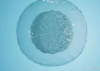 试管婴儿医治有年龄限制吗？影响试管助孕的因素有哪些