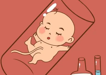 中山试管婴儿价格