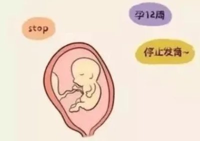 惠州哪里有做试管