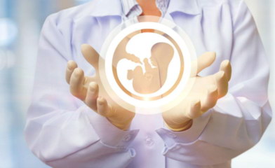 试管婴儿医治期间B超查看所见卵泡数等于取卵数吗