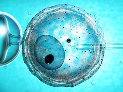 精子畸形率高可以通过试管让妻子顺利怀孕吗