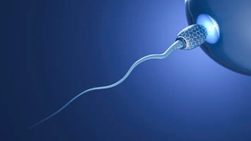单身女格鲁吉亚试管婴儿