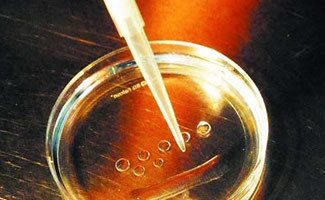 盆腔积液难孕该怎么办可以试管婴儿辅助生养吗
