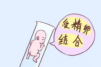 东莞做试管婴儿