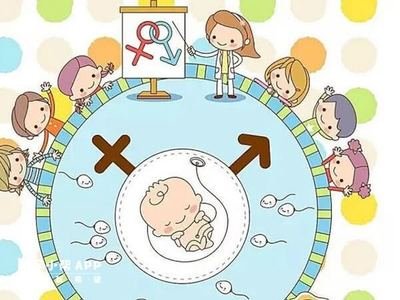 输卵管粘连备孕老是怀不上宝宝可以顺利试管婴儿吗