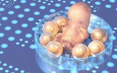 东莞单身男性怎么做试管婴儿