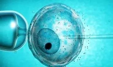 女性始基子宫能通过做试管医治怀上宝宝吗