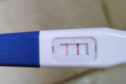 深圳单身做试管