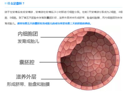 超过40岁的高龄女性可以考虑试管婴儿吗