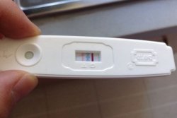 卵子历险记——卵子受精卵裂着床的过程