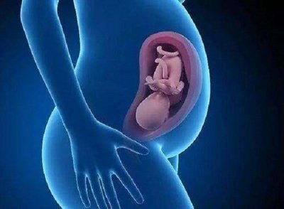 吉尔吉斯斯坦单身男性试管