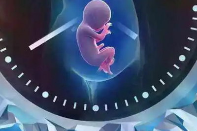 泌乳素过高有什么影响可以做试管婴儿吗