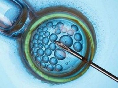 深圳未婚单身女性可以做试管吗