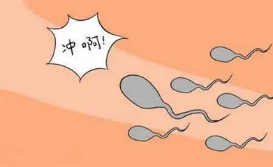 为什么月经量少会影响到怀孕