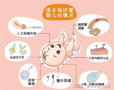 试管婴儿的医治过程通常包含多少个步骤