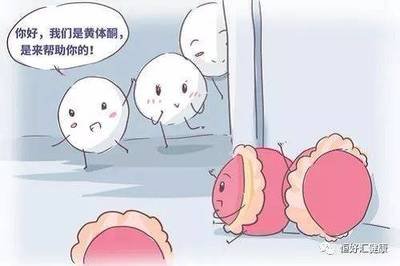 黄体功用不全是怎么回事可以试管婴儿助孕吗