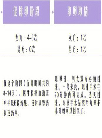吉尔吉斯斯坦试管婴儿法律要求解析：结婚证是否为必需？