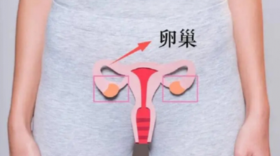 吉尔吉斯斯坦试管婴儿移植成功6症状