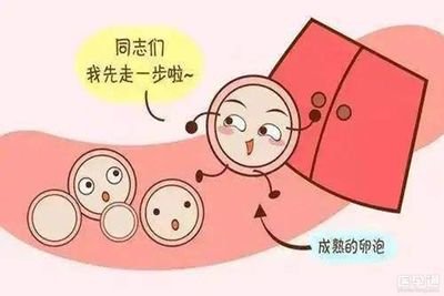 诱发卵巢早衰原因是什么可以试管婴儿辅助生育吗