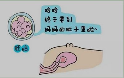 试管婴儿胚胎移植后，为什么有的人会出现腹泻