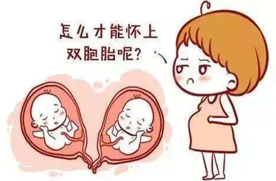 试管婴儿辅助生育期间可以补充蛋白质吗