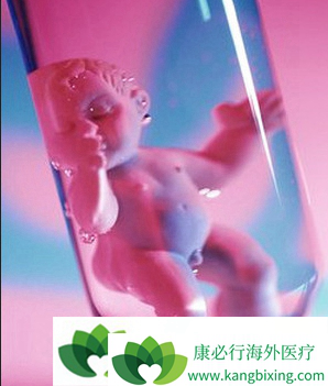 试管婴儿医治期间该如何补充必需的养分